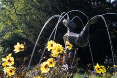 Erholsame Oase, vormittags im Stadtpark St. Gallen. (Bild: Franz Häusler)