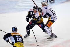 Sie waren wacher als die Gäste aus Zug und erzielten den verdienten 3:3-Ausgleichstreffer. Hier entwischt Ambris Dominic Zwerger der EVZ-Nachwuchshoffnung Yannick Zehnder. (Bild: Samuel Golay/Keystone, Ambri, 13. September 2019)