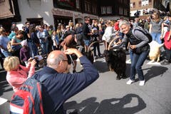 Fotosujets gab es beim Alpabzug in Wassen ganz viele. (Bild: Urs Hanhart, 14. September 2019)