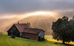 Herbst in Herisau, Richtung Schwellbrunn. (Bild: Luciano Pau)