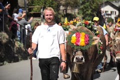 Beim Alpabzug in Wassen waren farbig geschmückte Kühe zu bestaunen. (Bild: Urs Hanhart, 14. September 2019)