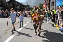 Die Kinder führen die festlich geschmückten Kühe vor. (Bild: Urs Hanhart, 14. September 2019)