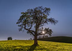 Blaue Stunde beim Lutzenland Herisau. (Bild: Luciano Pau)