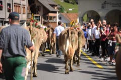 Beim Alpabzug in Wassen zückten viele Besucher ihr Handy. (Bild: Urs Hanhart, 14. September 2109)