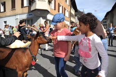 Die Tiere lassen sich gerne von den Kindern streicheln. (Bild: Urs Hanhart, 14. September 2019)