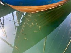 Fische sonnen sich im Hafen von Schloss Kirchberg. (Bild: Dani Rüede)