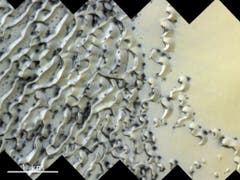 Gasausbrüche beim Auftauen von Eis erzeugen die dunklen Stellen in diesem Dünenfeld am Nordpol auf dem Mars. (Bild: ESA/Roscosmos/CaSSIS, CC BY-SA 3.0 IGO)