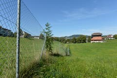 Seit 2004 ist das Burgweier-Areal aus Sicherheitsgründen eingezäunt. Diese Zäune will die Stadt schnellstmöglich abräumen.