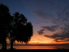 Morgenstimmung am schönen Bodensee in Arbon. (Bild: Willi Wegmann)