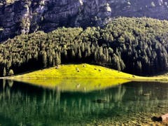 Perfekt gespiegelt im Seealpsee. (Bild: Hans-Joerg Hehli)