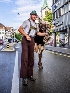 Viehschau in Herisau. (Bild: Luciano Pau)
