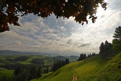 Endlich! Auflösung des Bisen-Nebels in der Nähe von Schwellbrunn. (Bild: Walter Schmidt)