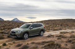 Subaru Forester e-Boxer. (Bild: Subaru)