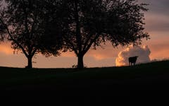 Abendstimmung bei Mutwil. (Bild: Luciano Pau)