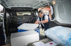 Anlieferung in Matzingen: Ruth Marti holt ein Säckchen mit Ebersperma aus der Kühlbox im Kleintransporter. (Bilder: Andrea Stalder)