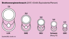 Wieviel Erdöl verbraucht die Schweiz im Vergleich? (Bild: Lea Siegwart)