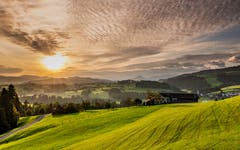 Morgenstund hat Gold im Mund. (Bild: Luciano Pau)