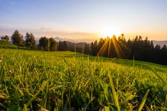 Abendspaziergang durch das Appenzellerland: Auf der Hohen Buche mit Blick Richtung Teufen. (Bild: Michelle Eugster)