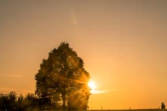Ein alter Mann geht seinen Weg - dem Sonnenuntergang entgegen.(Bild: Julian Dudli)
