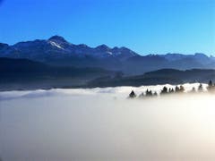 Über dem Nebel, mit Säntis im Hintergrund. (Bild: Marianne Musa)