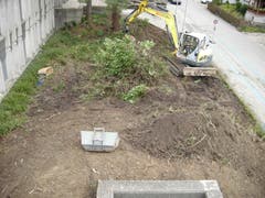 Hier sind schon fast alle alten Pflanzen entfernt. (Bild: PD, 10.09.2019)
