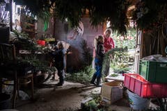 Grosi Rösi Emmenegger bastelt mit ihren Enkeln Timo und Alina Kopfschmuck für die Kühe. (Bild: Nadia Schärli, 25. September 2019)