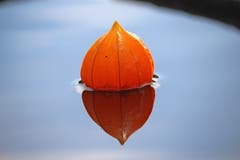 Der Herbst zeigt seine Farben. (Bild: Rolf Schweizer)