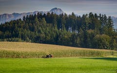 Kutschfahrt bei Niederbüren. (Bild: Luciano Pau)