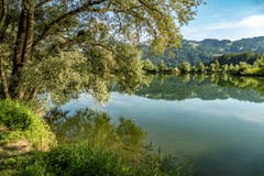 Abendspaziergang im Naturschutzgebiet Eselschwanz in St.Margrethen (Bild: Georg Vogelsanger)