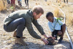 Prinz Harry pflanzt einen Baum in Botswana. Auch der Royal will wegen des Klimawandels darauf verzichten, viele Kinder in die Welt zu setzen, wie er und Herzogin Meghan Markle in Interviews immer wieder betonten. (Bild: AP)