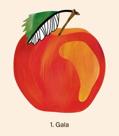 Die absolute Nummer eins bei den Äpfeln war 2018 die Sorte Gala mit 41 758 Tonnen geernteten Früchten. Quelle: Naturmuseum St. Gallen
