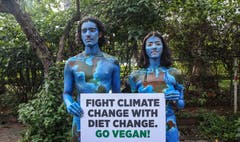 Den Klimawandel mit einem Ernährungswandel bekämpfen. Das fordern diese beiden Demonstrierenden aus Mumbai. (Bild: EPA/Divyakant Solanki)