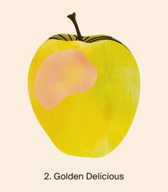Auf Platz zwei waren letztes Jahr Golden Delicious-Äpfel mit 24 290 Tonnen. Quelle: Naturmuseum St. Gallen