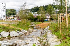 Der Steinibach wurde verlegt und hat mehr Platz erhalten. (Bild: PD)