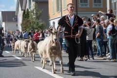 Familie Vogel von der Alp Schlacht. (Bild: Boris Bürgisser)