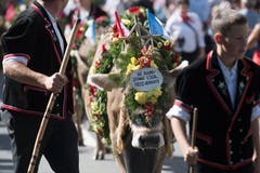 Familie Felder von der Alp Mittlere Farnere. (Bild: Boris Bürgisser)