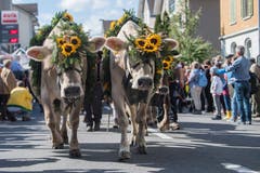 Familie Portmann von der Alp Äbnistettili. (Bild: Boris Bürgisser)