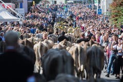 Familie Theiler von der Alp Äbnistetten. (Bild: Boris Bürgisser)