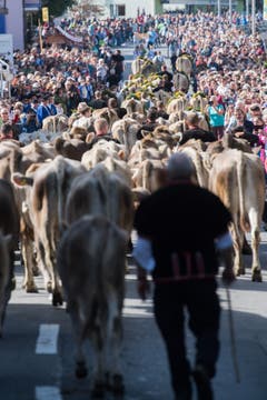Familie Theiler von der Alp Äbnistetten. (Bild: Boris Bürgisser)