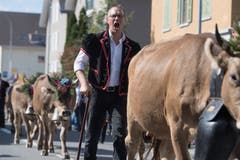 Familie Vogel von der Alp Schlacht. (Bild: Boris Bürgisser)