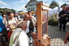 Am Stand vom Bienenzüchterverein Oberfrauamt Aargau können Bienen beobachtet werden.