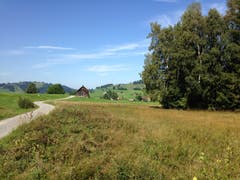 Die Landschaft mit den letzten Resten des Hochmoors bei Gais eignet sich gerade bei schönem Spätsommerwetter ideal für einen ausgedehnten Spaziergang. (Bild: Reto Voneschen - 31. August 2019)