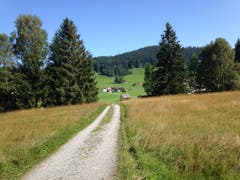 Blick übers Hochmoor zur Stossstrasse und dem Bahnhalt Schachen. Der Schopf in der Wiese gehört bereits zu «Klang-Moor-Schopfe». Hinter den Bäumen rechts verbirgt sich das Schützenhaus, das Zentrum des Audio-Festivals. (Bild: Reto Voneschen - 31. August 2019)