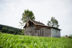 Elf solcher Holzhütten, die der Bewirtschaftung des einstigen Hochmoors bei Gais dienten und teilweise noch dienen, werden beim zweiten Audio-Festival in Klanginstallationen verwandelt. (Bild: Mareycke Frehner - 30. August 2017)