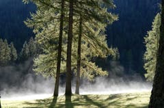 Herbstimpressionen. (Bild: Irene Weibel)