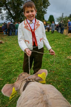 (Bild: Raphael Rohner)