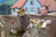 (Bild: Raphael Rohner)