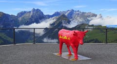 Blick auf den Alpstein vom Hohen Kasten aus. (Bild: Hans Adelmann)