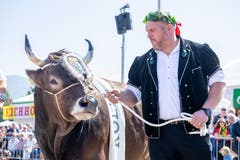 Das sah wohl auch Schwingerkönig Christian Stucki so. (Bild: Jan Pegoraro, Zug, 4. September 2019)