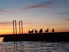 "Unentlich" schöne Abendstimmung am Bodensee bei Altenrhein. (Bild: Sandra Bischof)